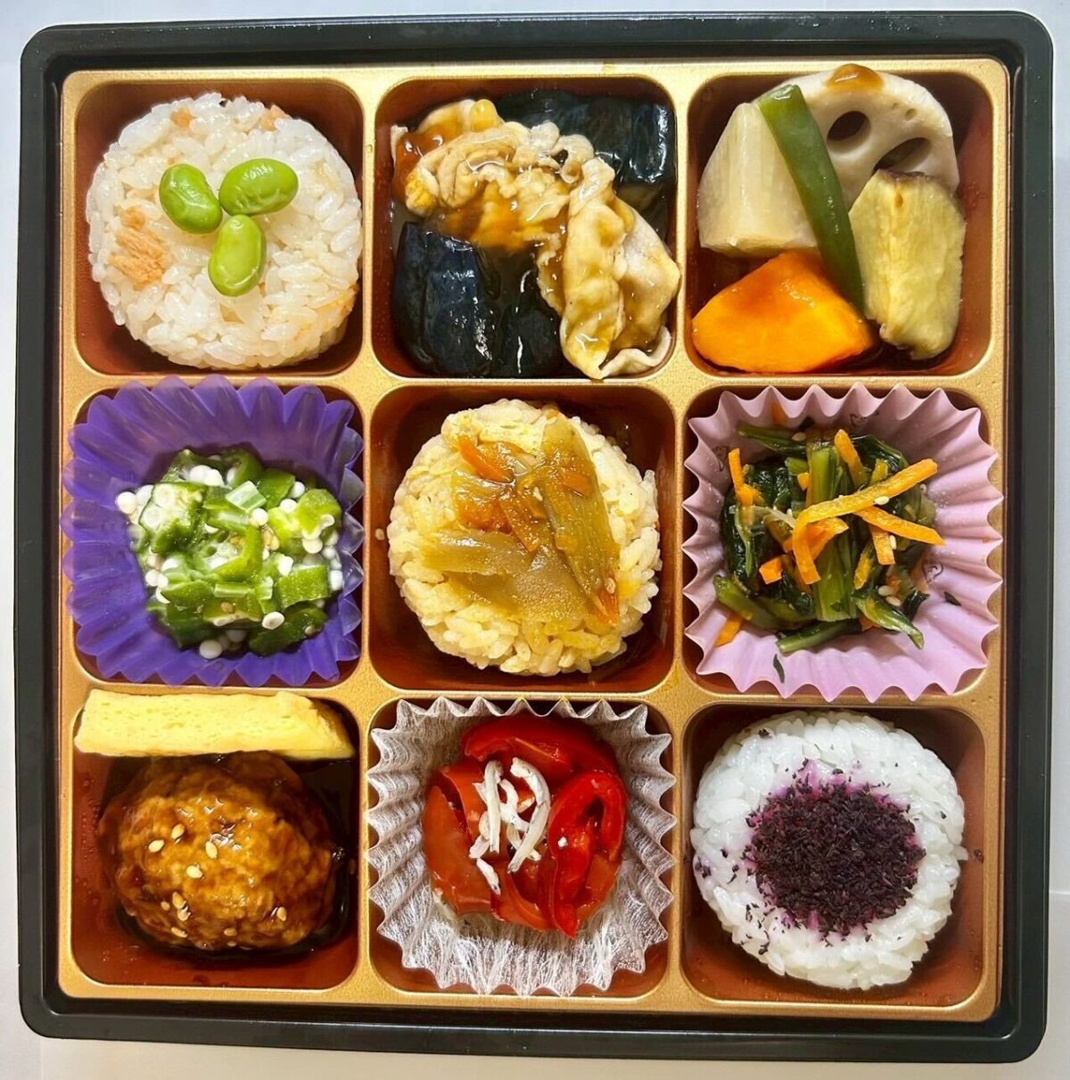 【ヘルスチーム菜良】学生考案「彩り野菜弁当」近畿地区のイオン89店舗で販売